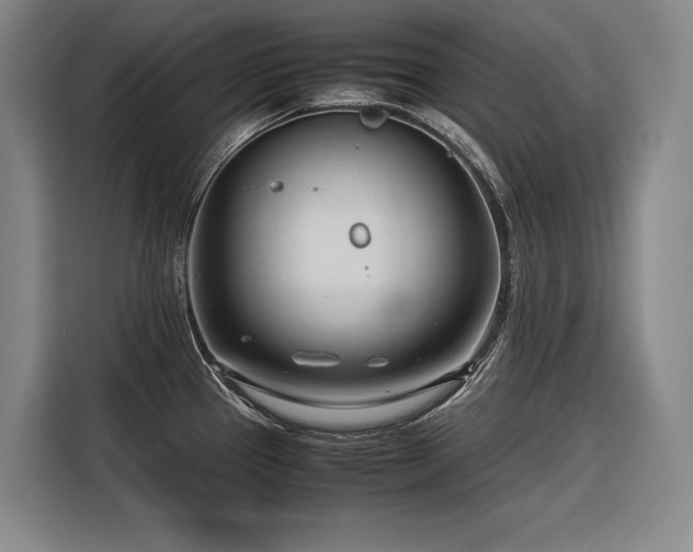 X0000116661337200912141313