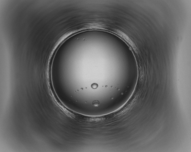 X0000116661339200912141313