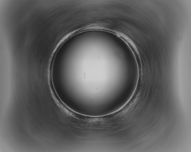 X0000116661341200912141313