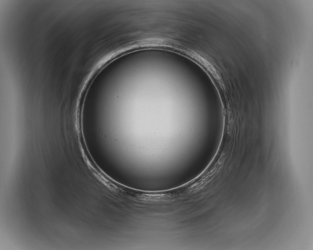 X0000116661342200912141313