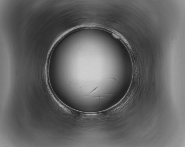 X0000116661343200912141313