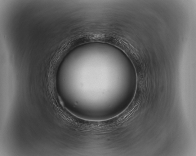 X0000116661345200912141312