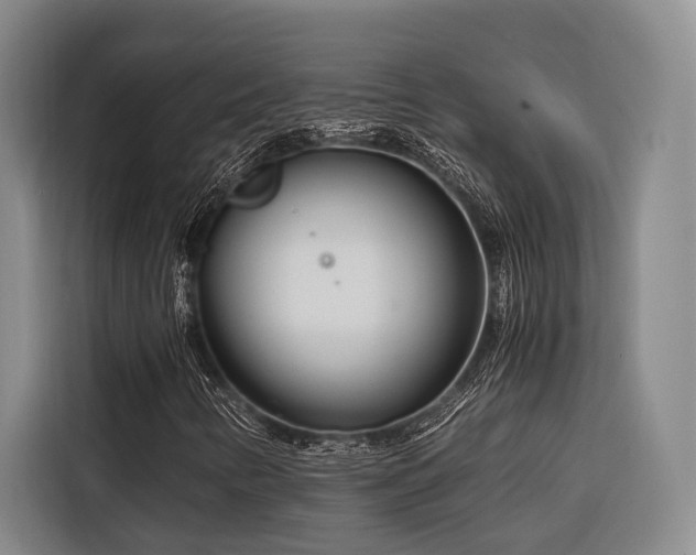 X0000116661346200912141312