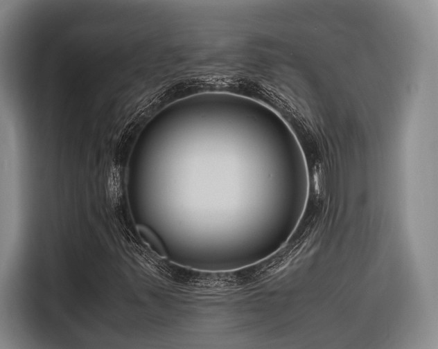 X0000116661347200912141312