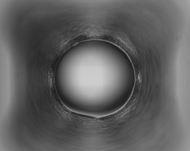 X0000116661348200912141312