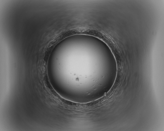 X0000116661349200912141312