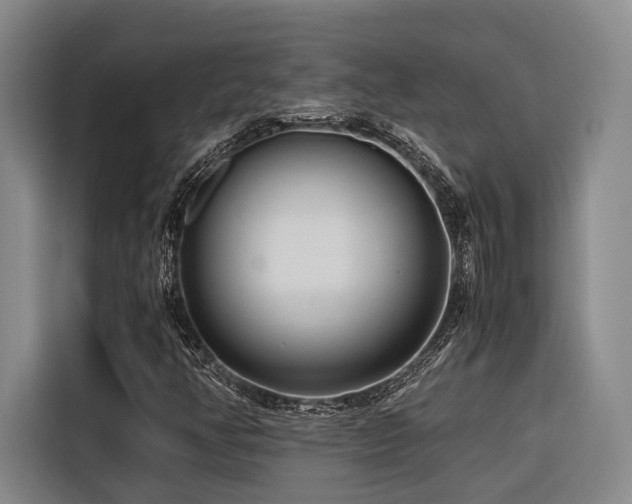 X0000116661350200912141312