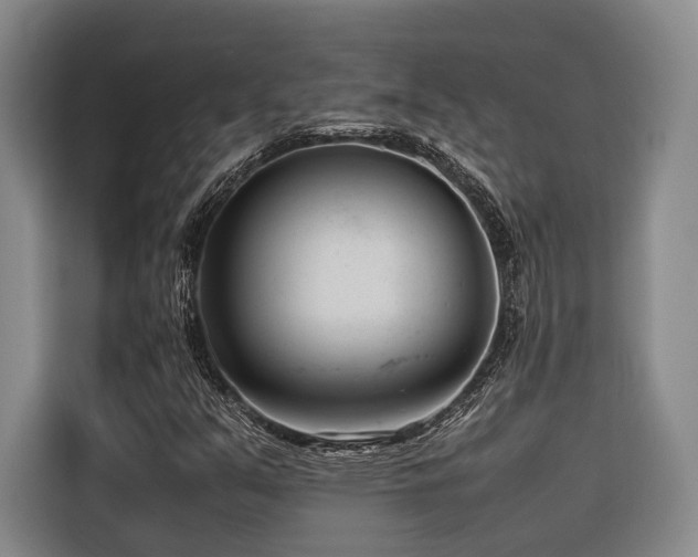 X0000116661351200912141312