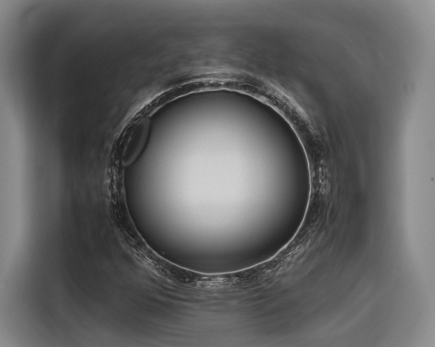 X0000116661352200912141312