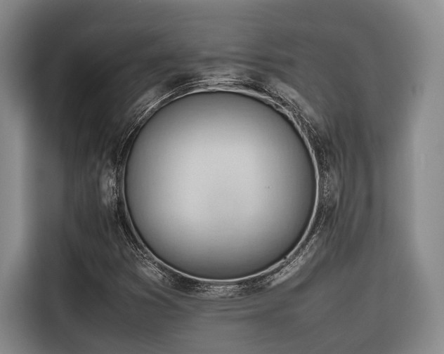 X0000116661353200912141312