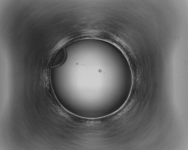 X0000116661354200912141312