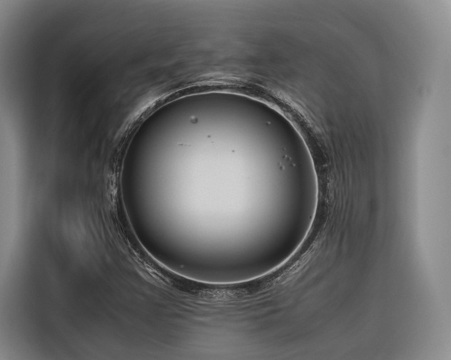 X0000116661355200912141312