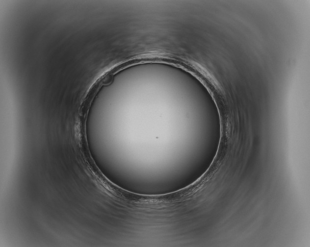 X0000116661356200912141312