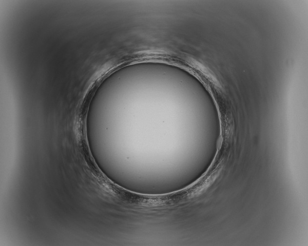 X0000116661357200912141312