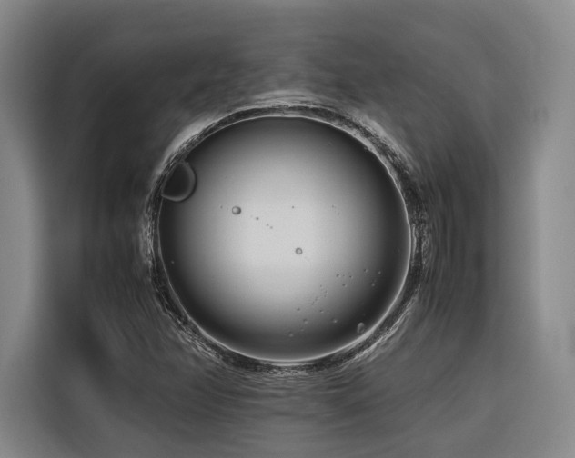 X0000116661358200912141312