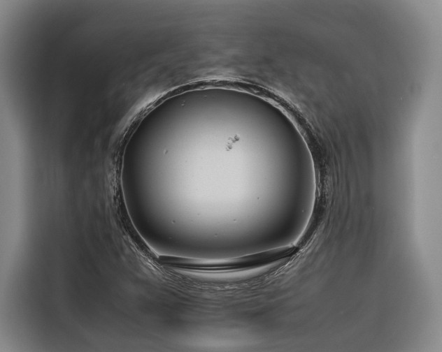 X0000116661359200912141312