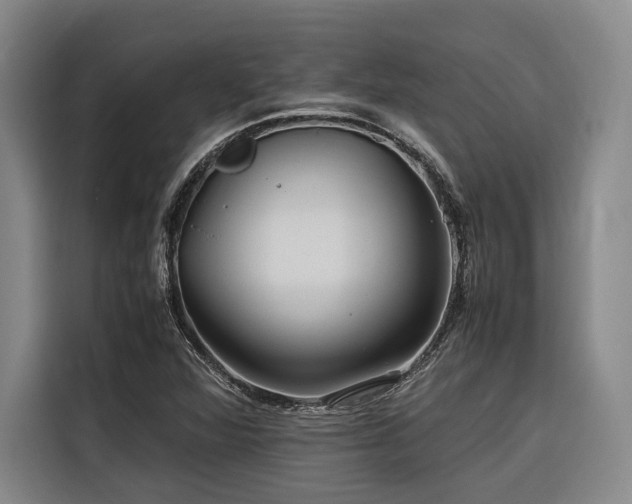 X0000116661360200912141312