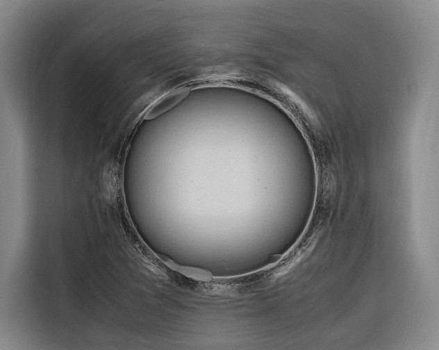 X0000116661361200912141312