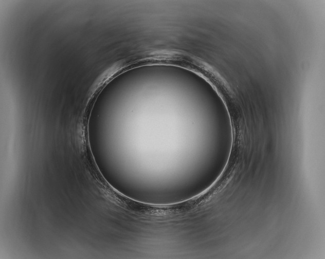 X0000116661362200912141312