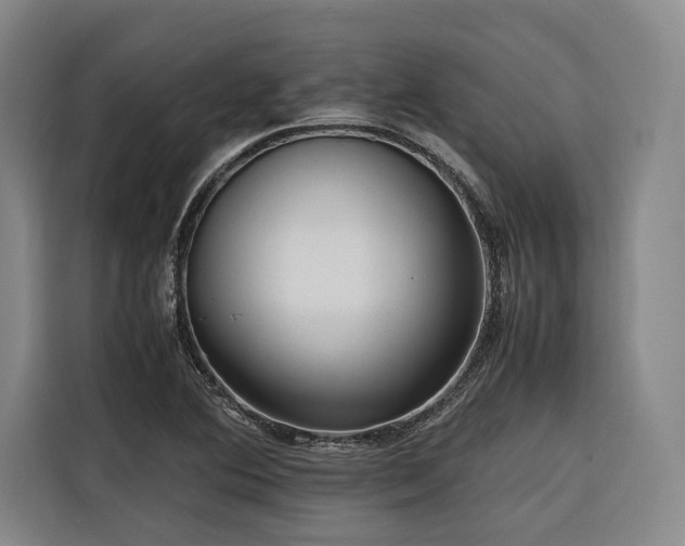 X0000116661364200912141312