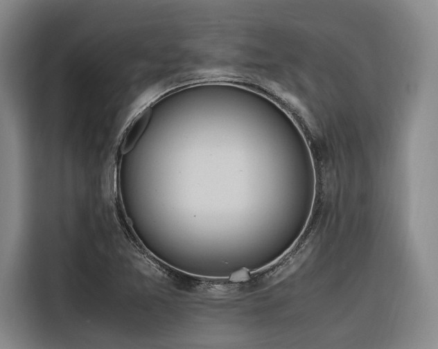 X0000116661365200912141312