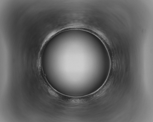 X0000116661366200912141312