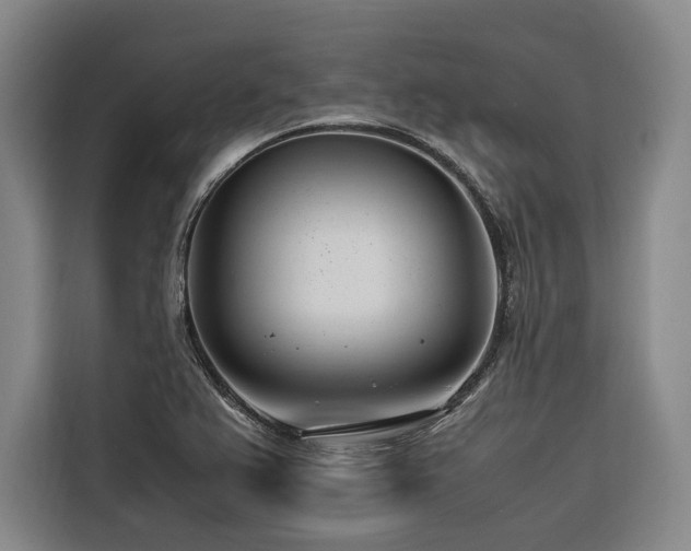 X0000116661367200912141312