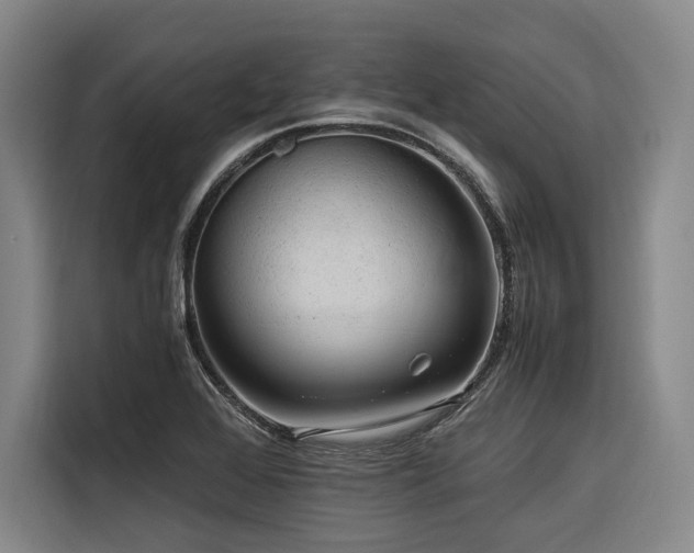 X0000116661368200912141312