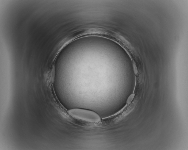 X0000116661369200912141312