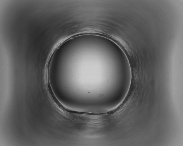 X0000116661371200912141312