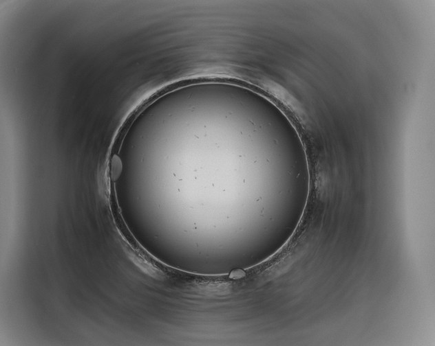 X0000116661372200912141312