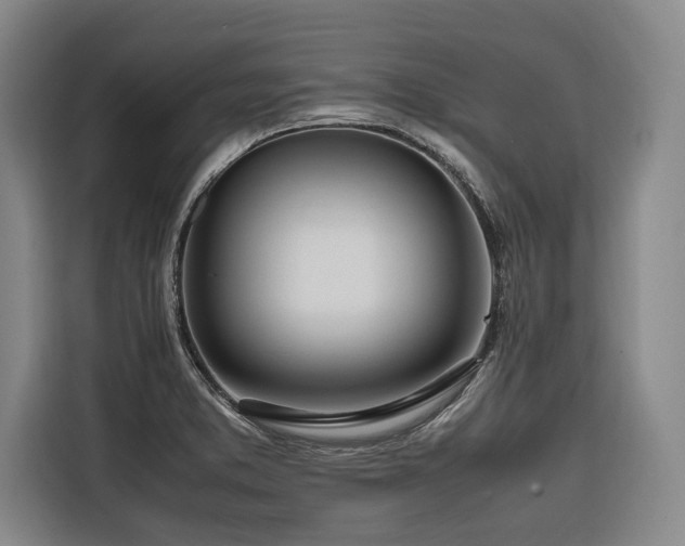 X0000116661373200912141312