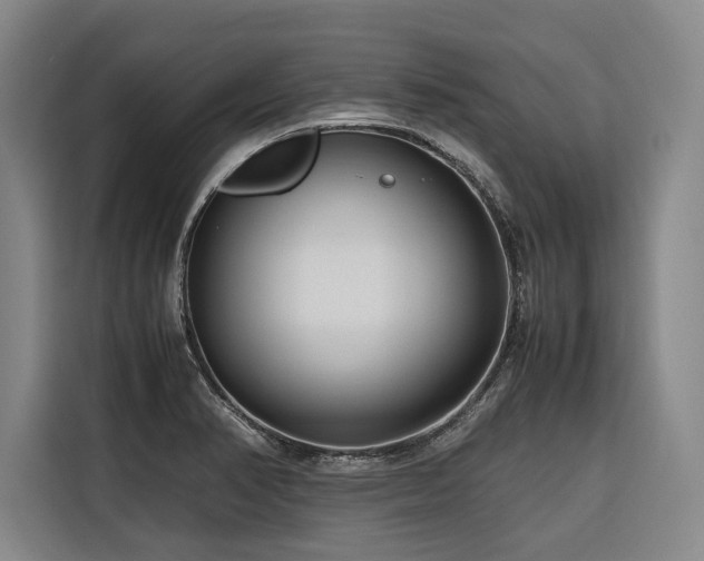 X0000116661374200912141312