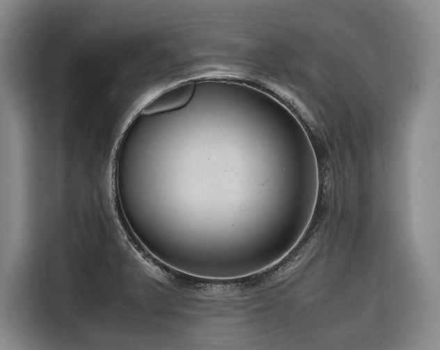 X0000116661375200912141312