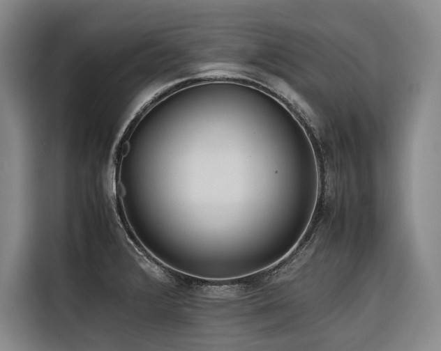 X0000116661376200912141312