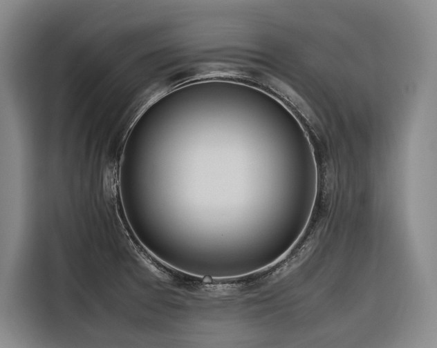 X0000116661377200912141312