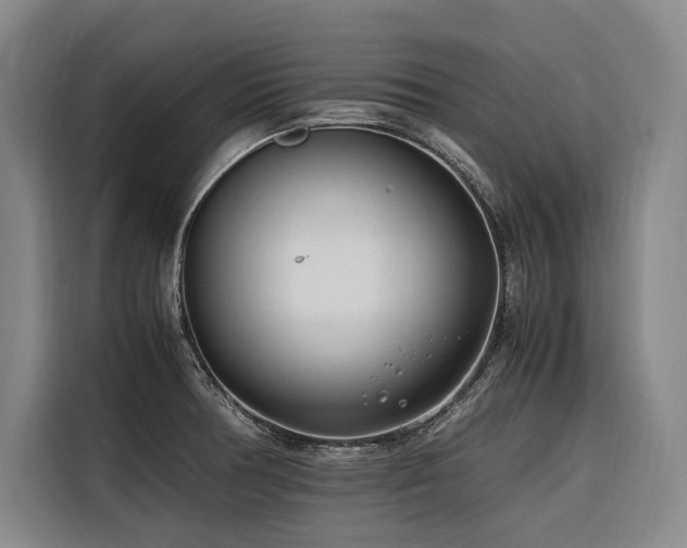 X0000116661378200912141312