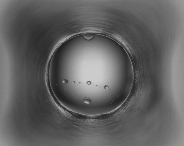 X0000116661379200912141312