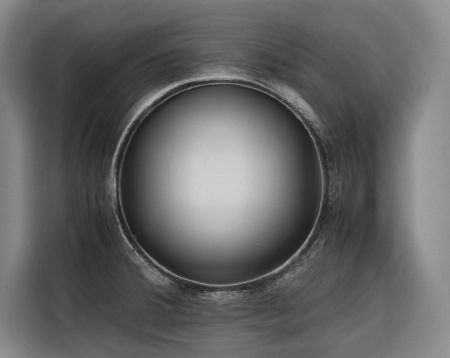 X0000116661380200912141312