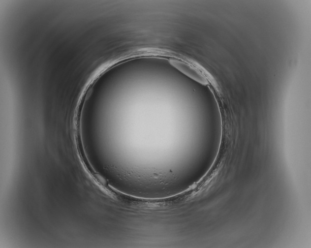 X0000116661381200912141312