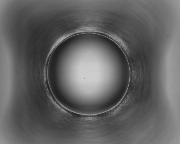 X0000116661382200912141312