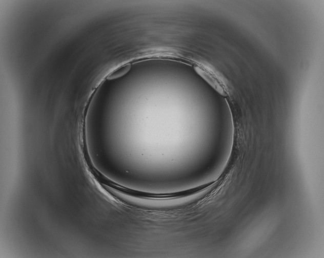 X0000116661383200912141312