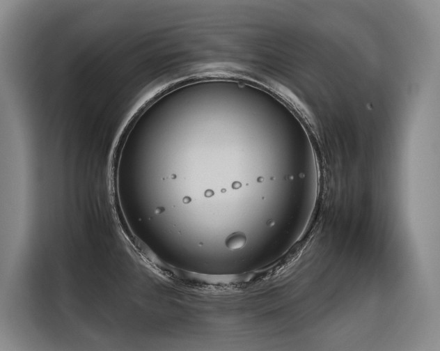 X0000116661384200912141312