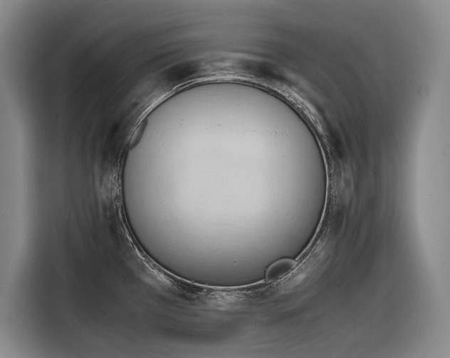 X0000116661385200912141312