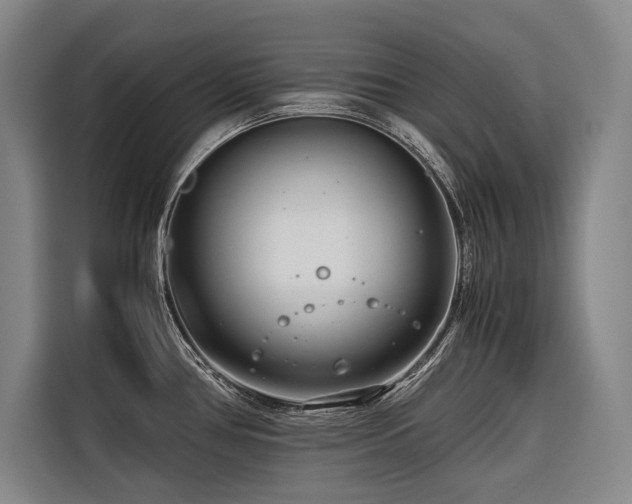 X0000116661386200912141312