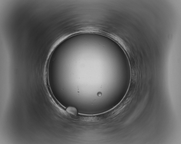 X0000116661387200912141312