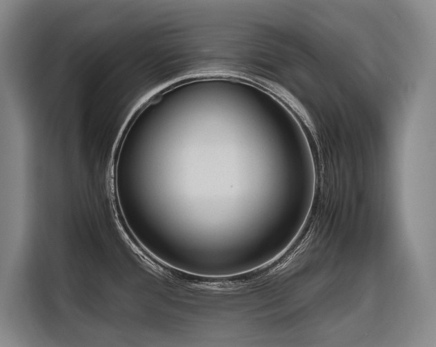 X0000116661388200912141312