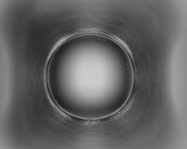 X0000116661389200912141312