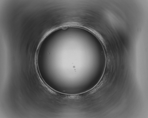 X0000116661390200912141312