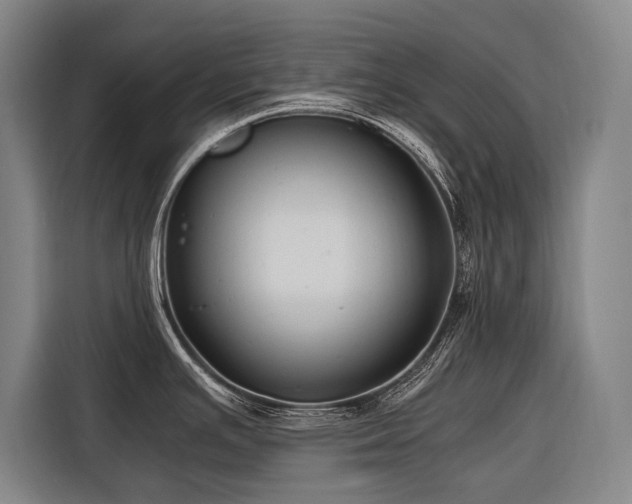 X0000116661391200912141312